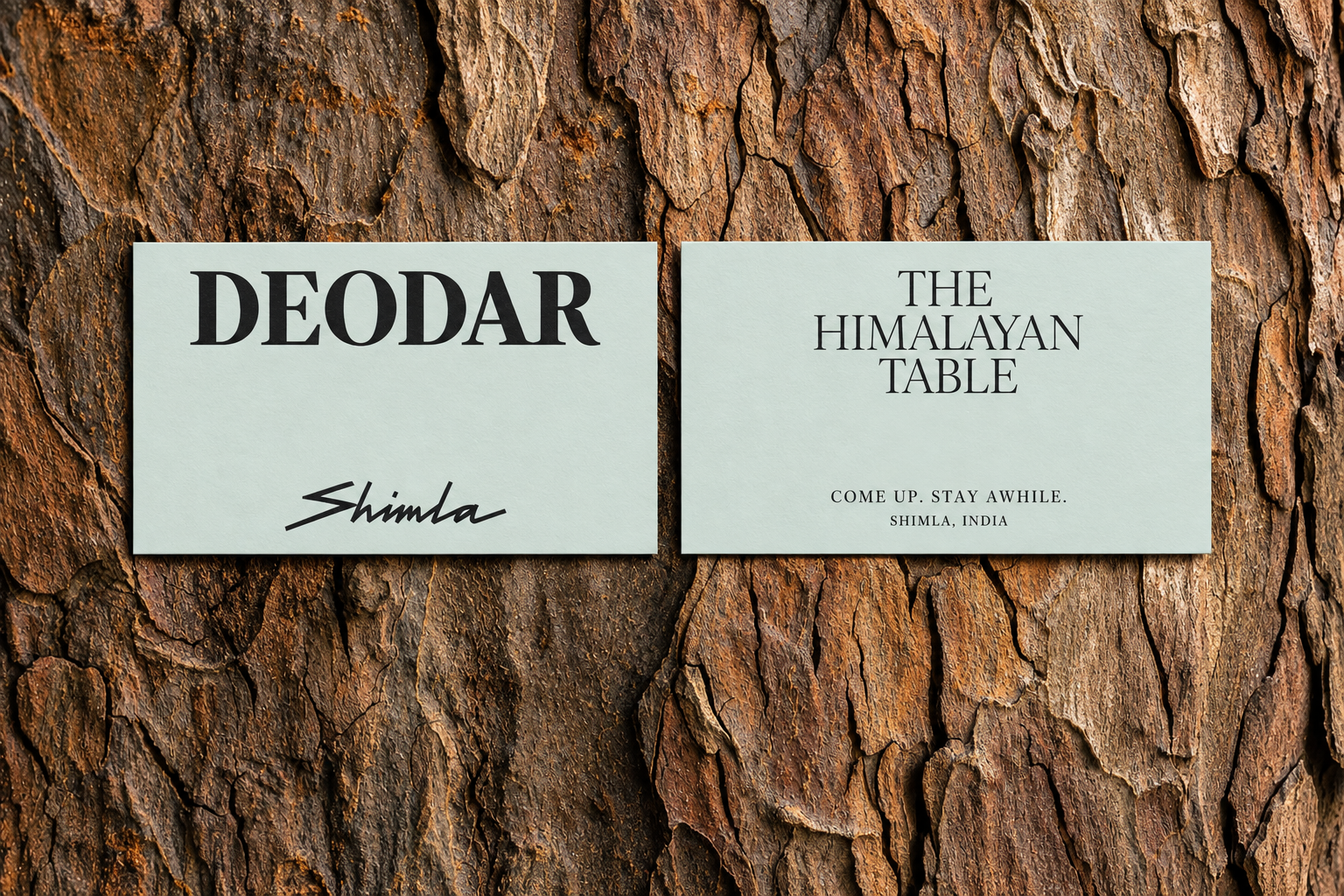 Two mist-coloured Deodar calling cards on richly textured cedar bark, with the Shimla signature and Himalayan table invitation