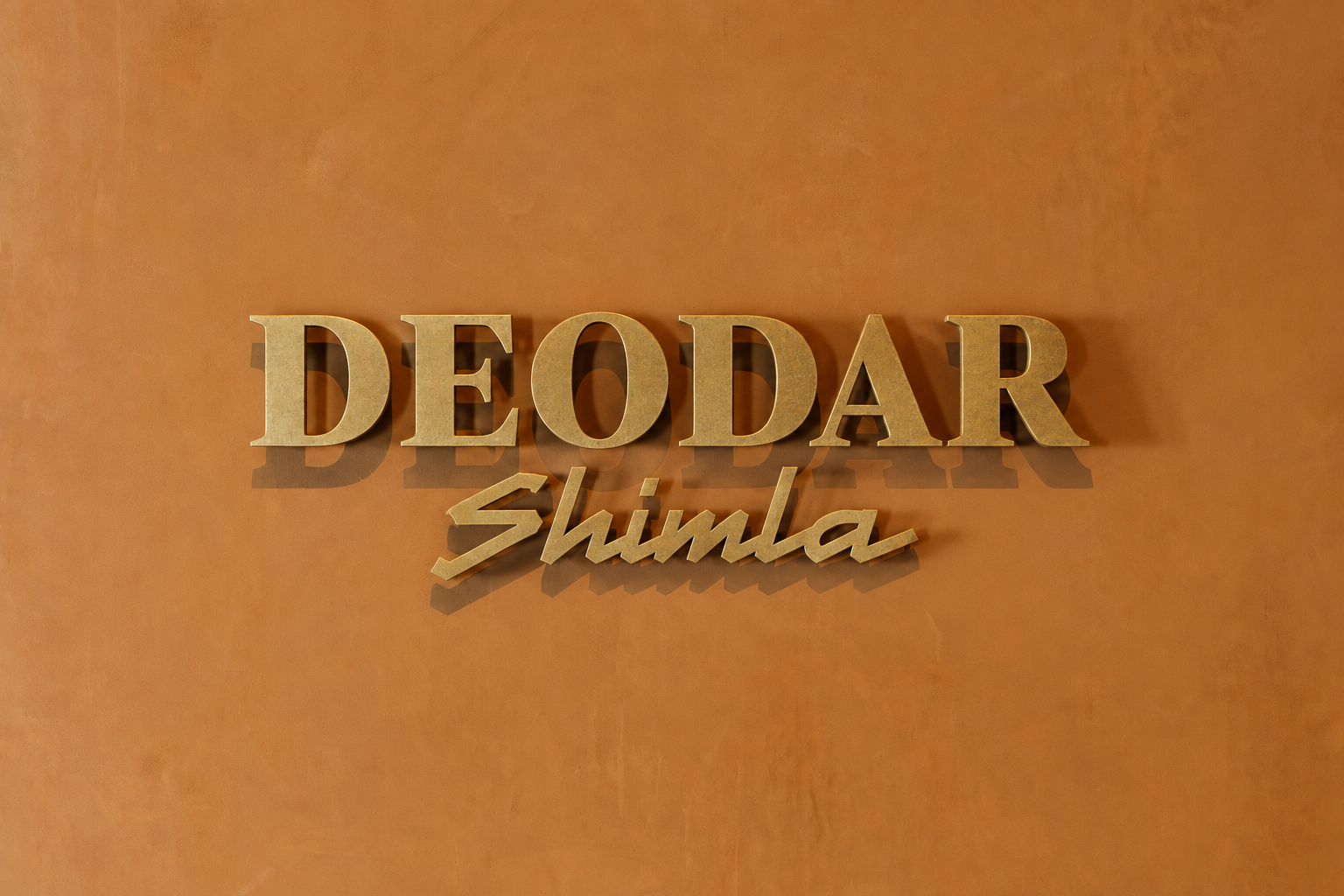 Deodar — Shimla