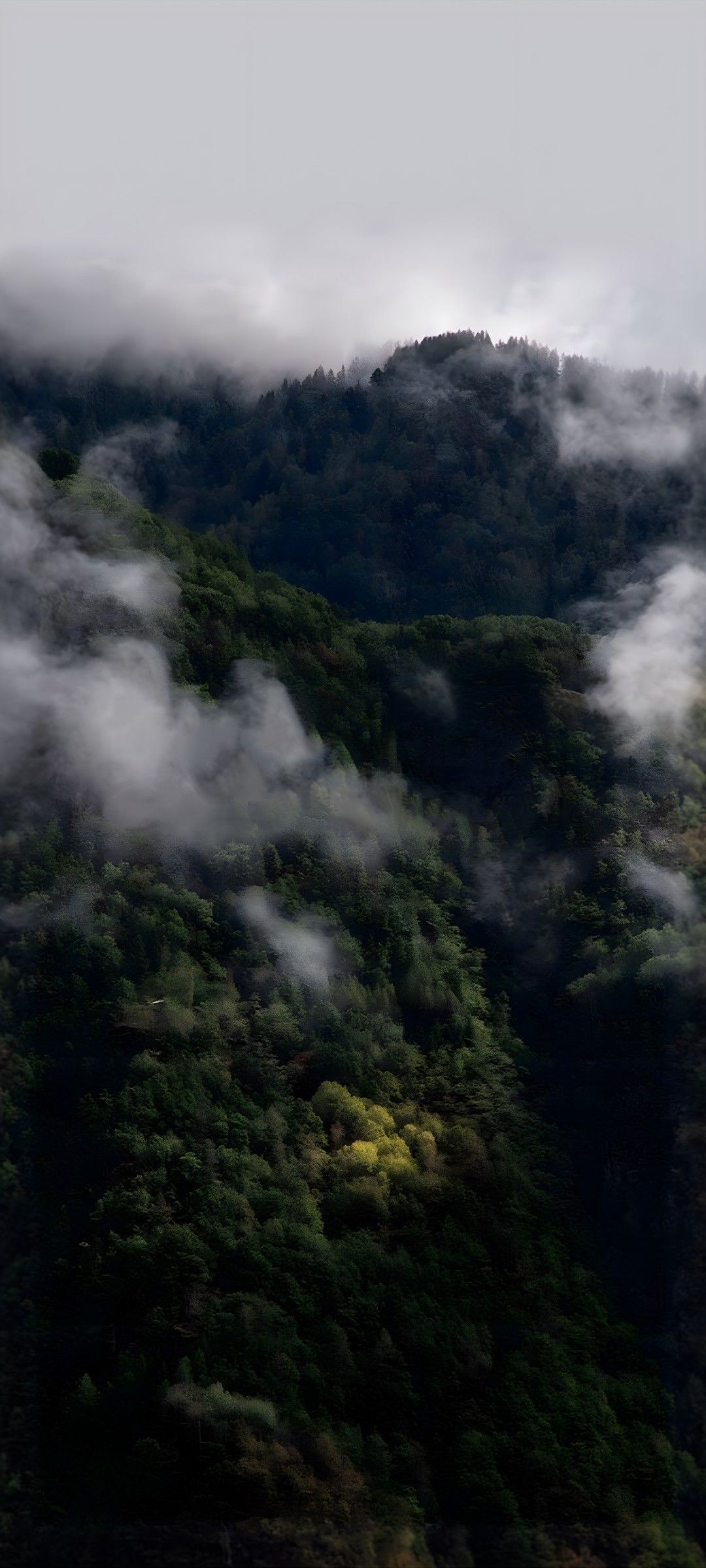 Held lightly against the hills.
